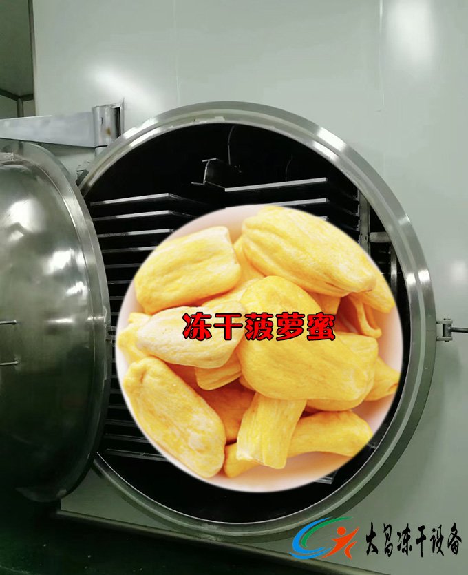 菠蘿蜜凍干機(jī)