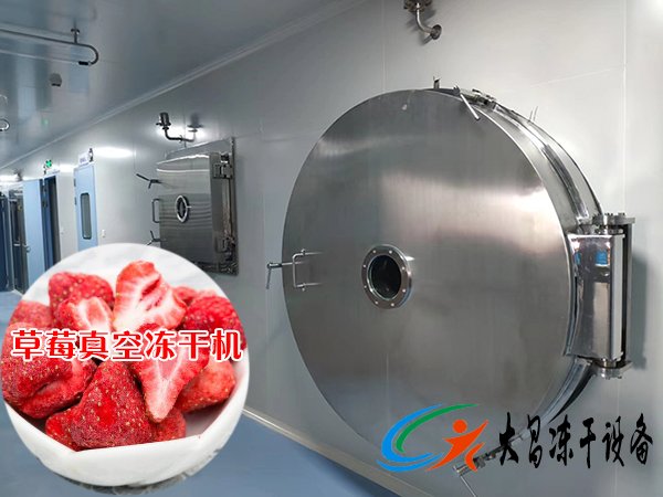 草莓真空凍干機案例