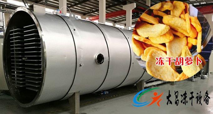 胡蘿卜凍干機案例