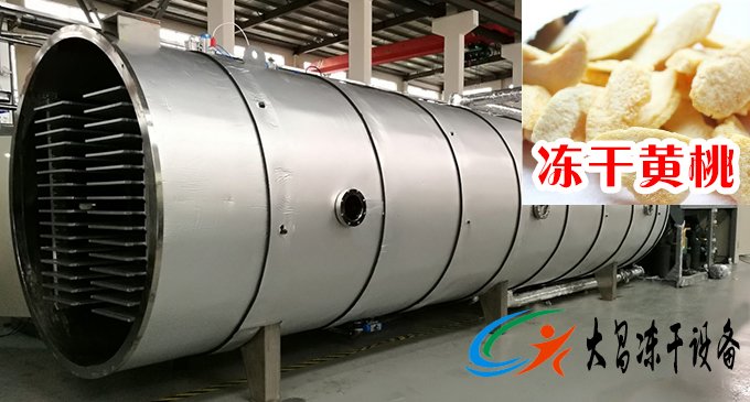 黃桃真空凍干機案例