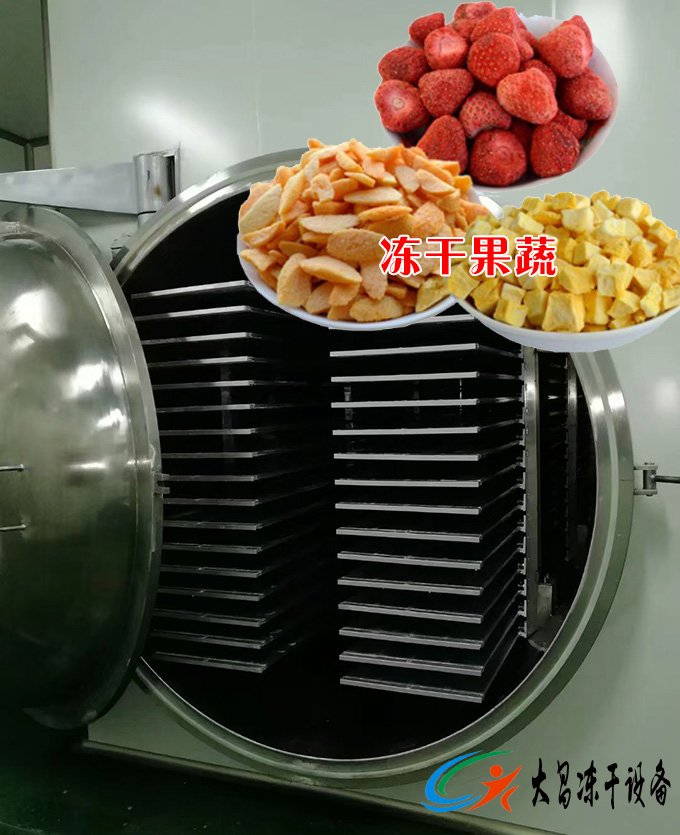 果蔬凍干機案例