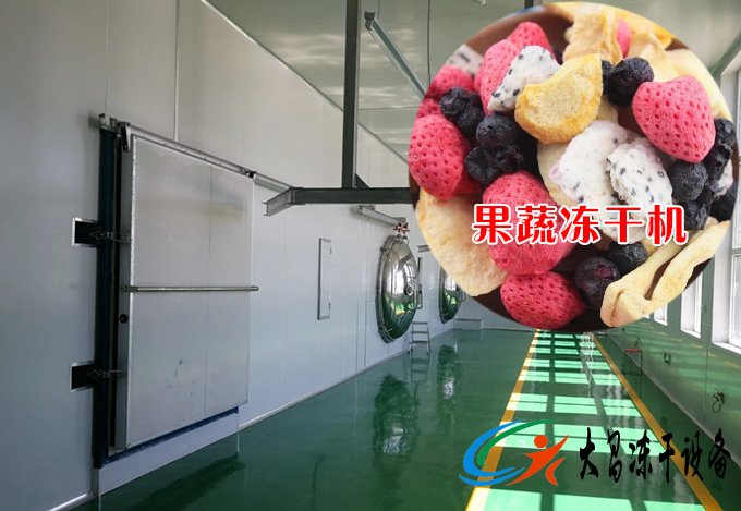 果蔬真空冷凍干燥機案例