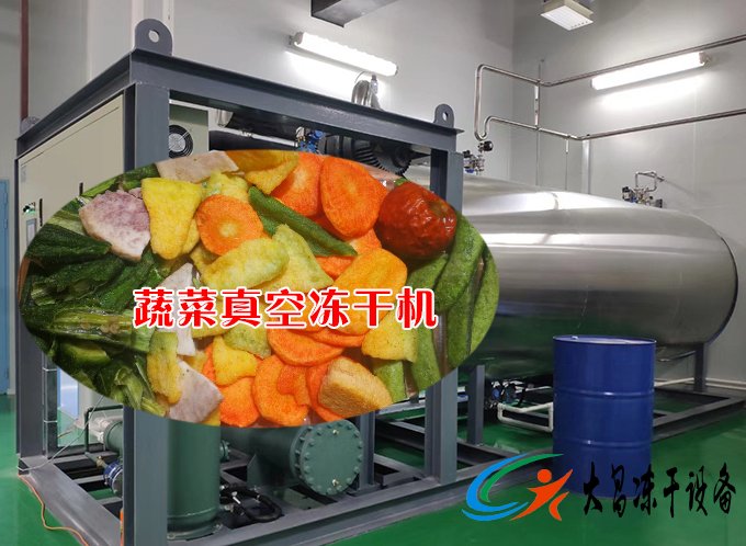 蔬菜真空凍干機案例