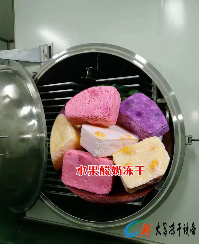 水果酸奶凍干設備案例