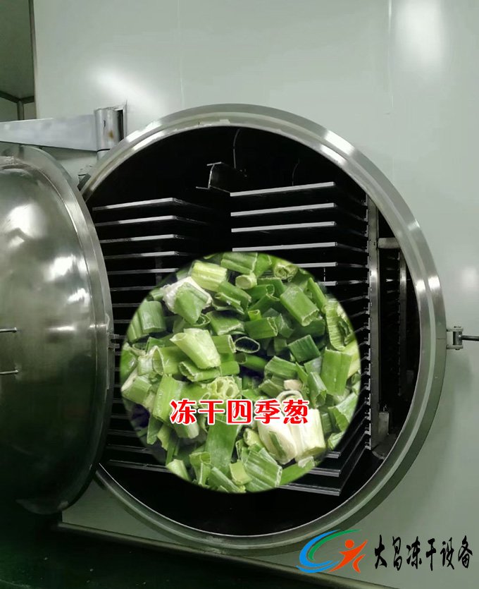 四季蔥真空凍干設備案例