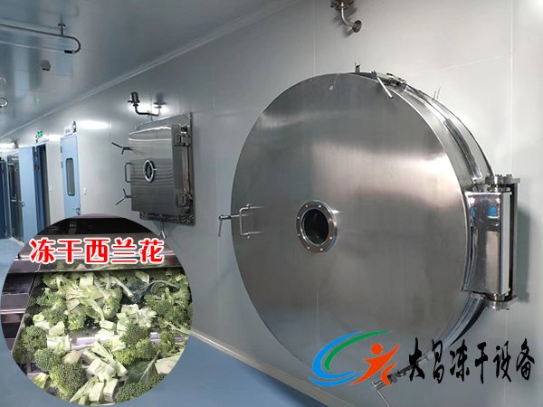 西蘭花真空凍干機案例