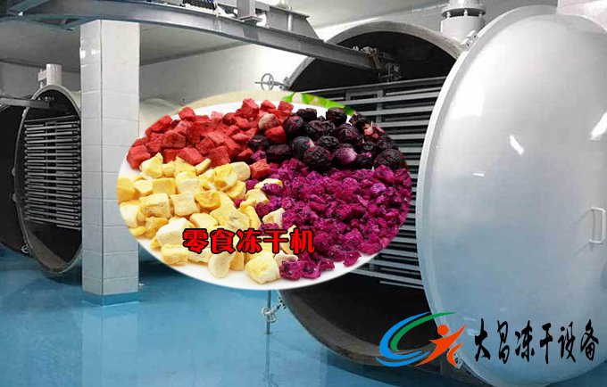 零食凍干機案例
