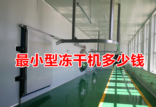 最小型的凍干機多少錢