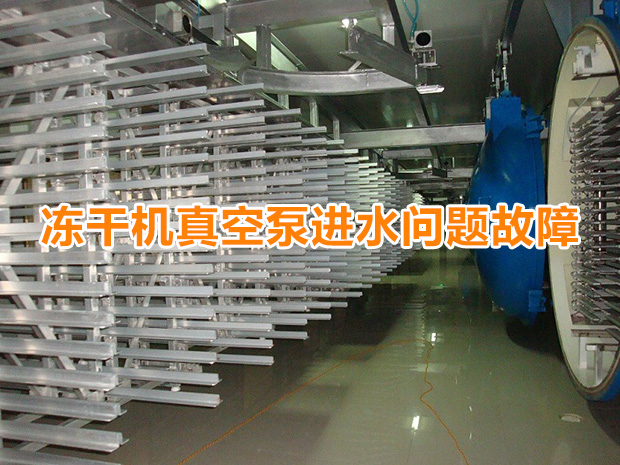 凍干機真空泵進水問題故障分析