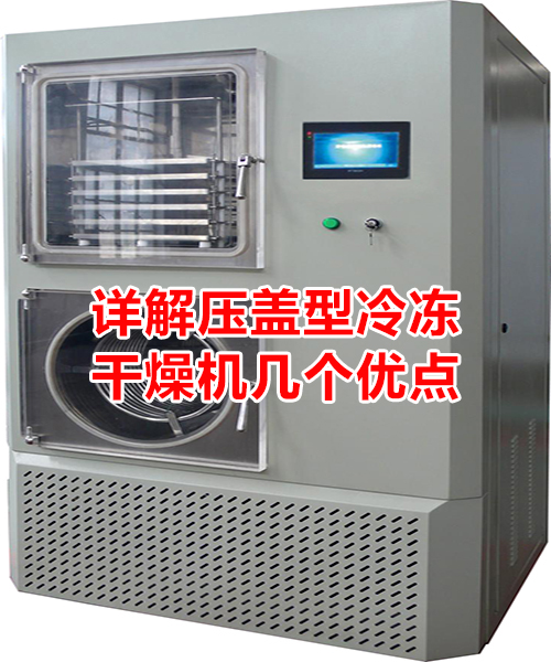 詳解壓蓋型冷凍干燥機(jī)幾個(gè)優(yōu)點(diǎn)