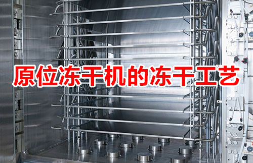 原位凍干機的凍干工藝[技術分享]