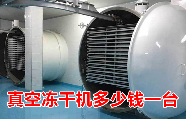 真空凍干機多少錢一臺