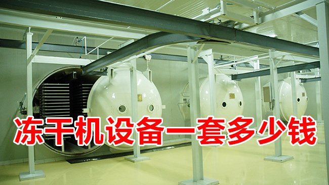 凍干機設(shè)備一套多少錢