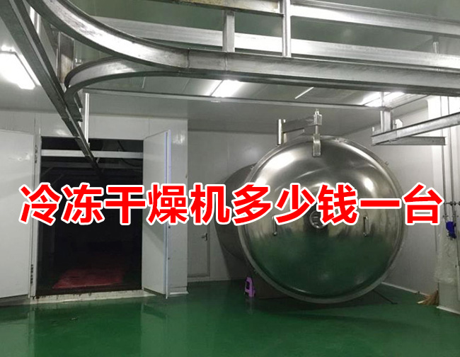 冷凍干燥機(jī)多少錢一臺