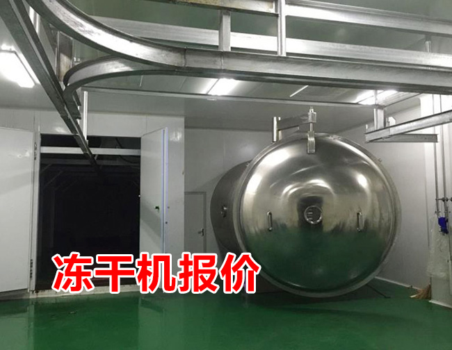 凍干機報價