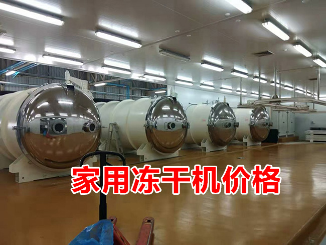 家用凍干機價格
