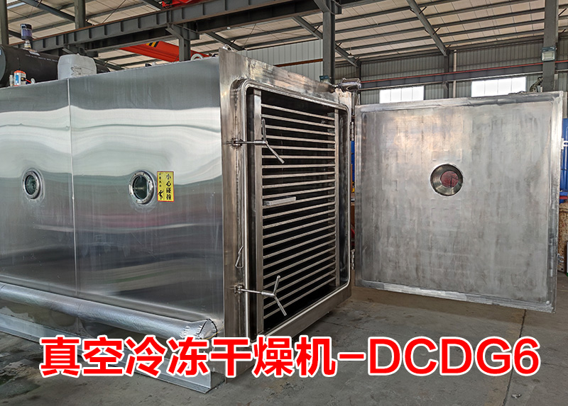 真空冷凍干燥機(DCDG-6)