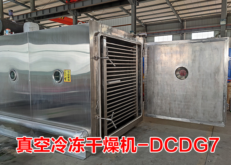 真空冷凍干燥機(DCDG-7)