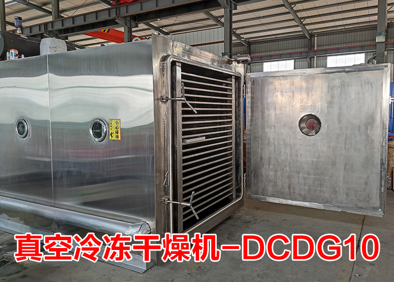 真空冷凍干燥機(jī)(DCDG-10)