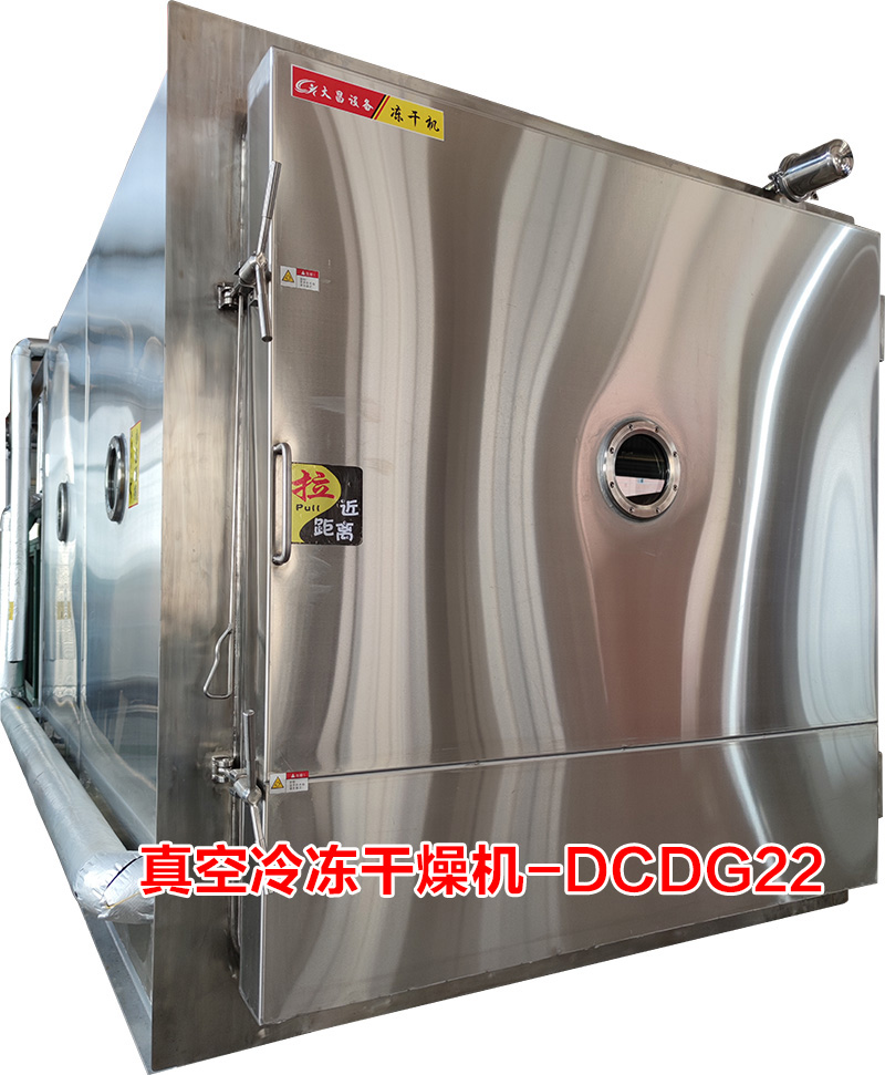 真空冷凍干燥機(DCDG-22)