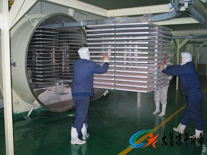 水果真空凍干機
