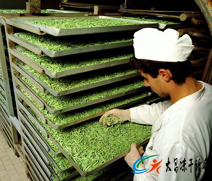 茶業(yè)真空凍干機(jī)