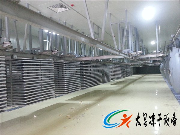 DCDG-150食品真空凍干機