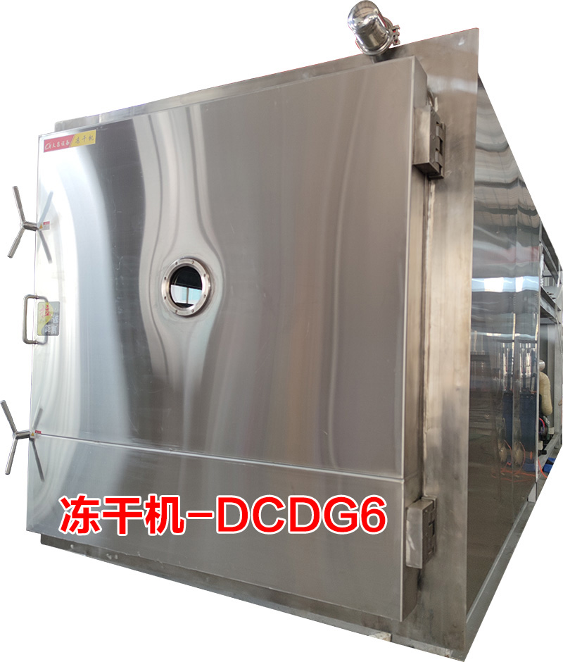 凍干機(jī)(DCDG-6)