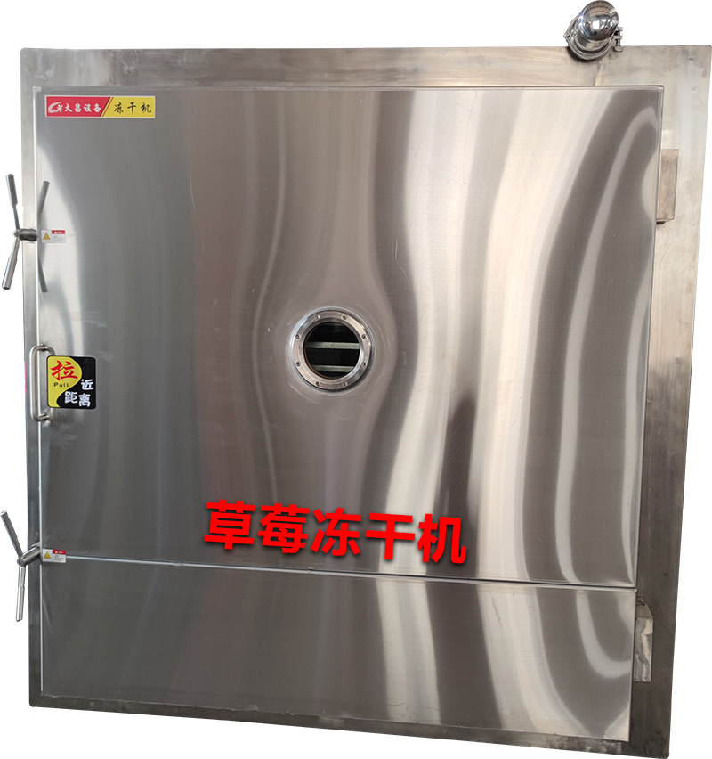 草莓凍干機(jī)